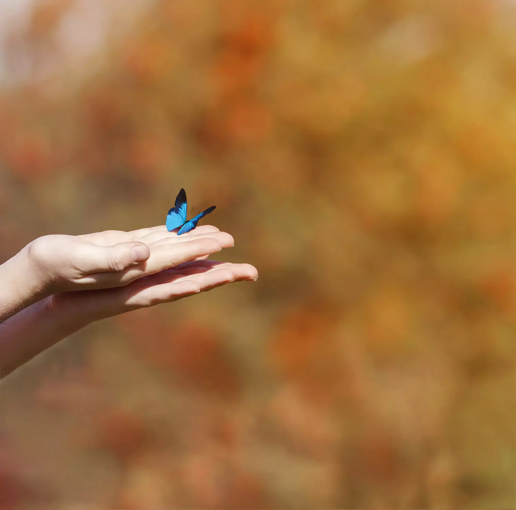 Un accompagnement sur mesure